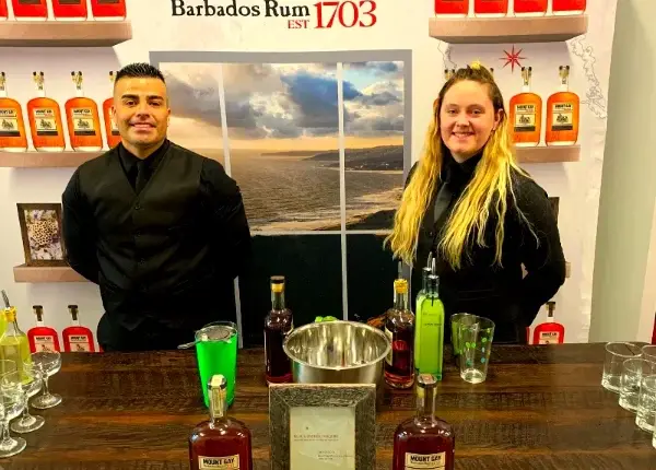 Bartenders VIP Mix professional team working at a private tasting event