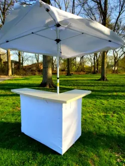 Premium portable bar setup for a backyard private party in NJ