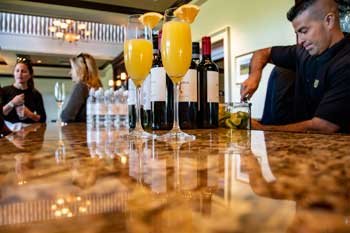 Bartenders Vip Mix Mobile bartending services